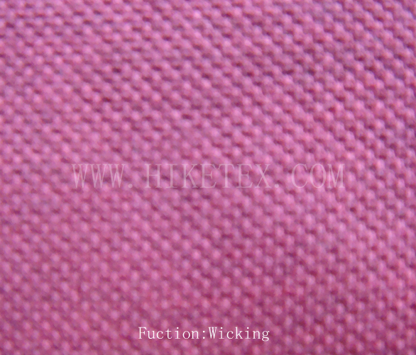 Laminated Fabric HK0202T-3001
